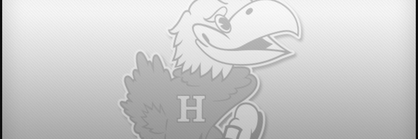 Hampton Hawks's banner