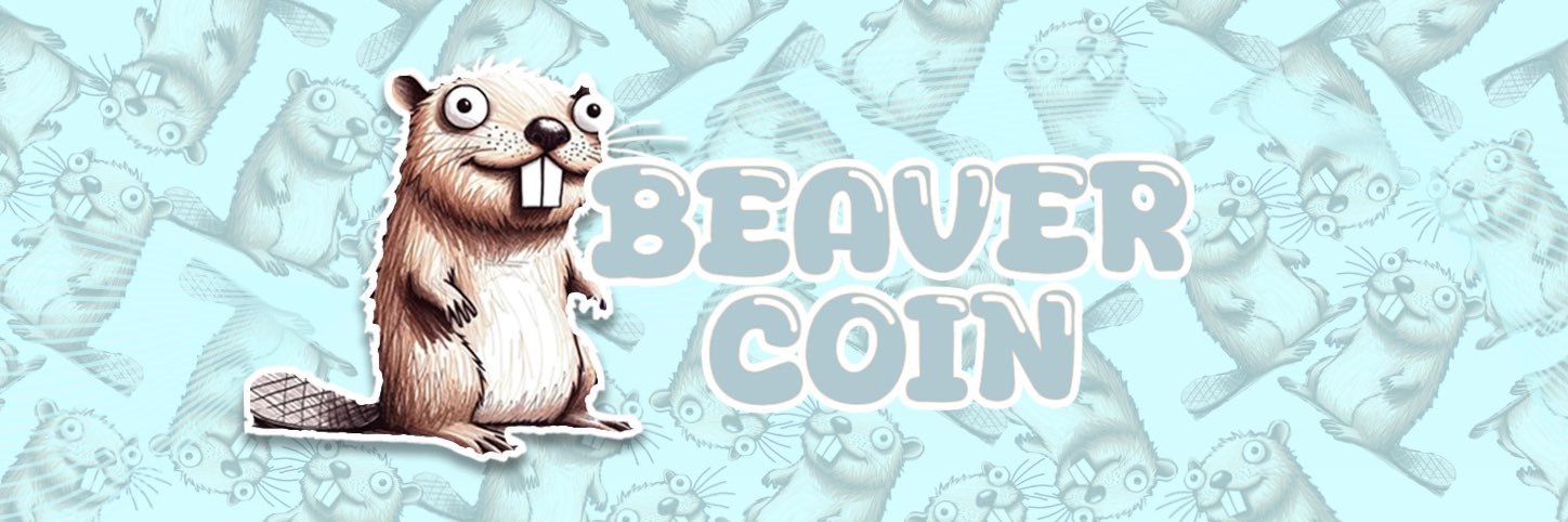 Beaver 🦫 banner