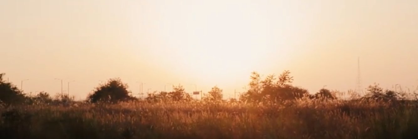 moonlight 🌙 banner