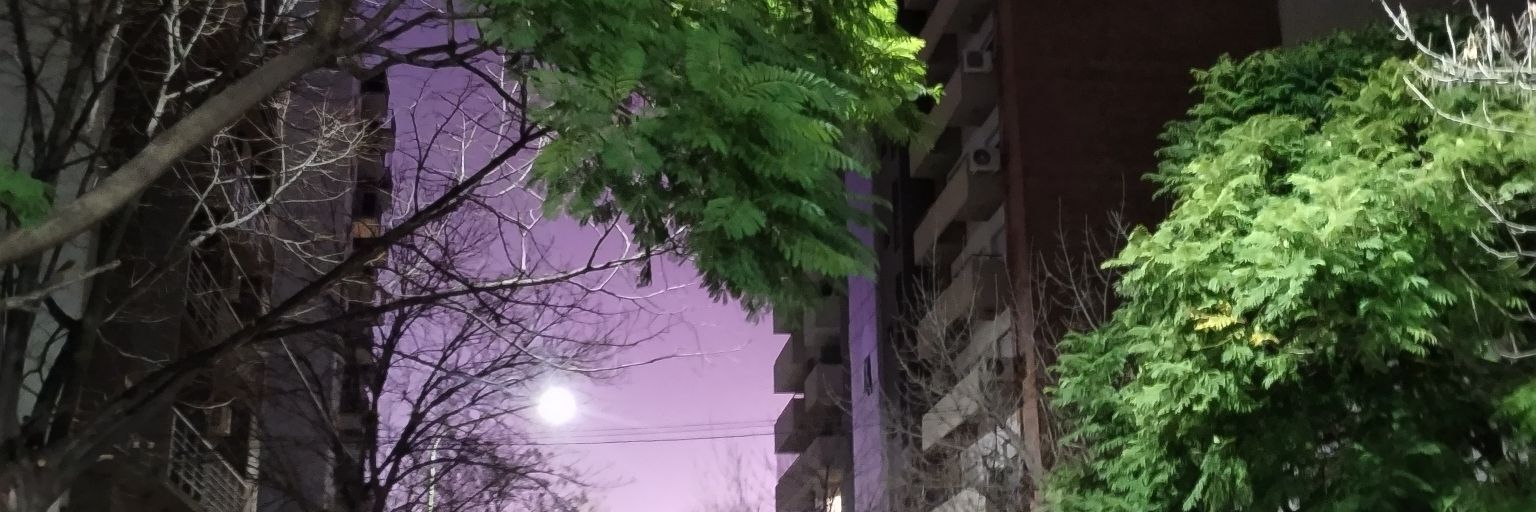 мαяια ⭐⭐⭐ banner