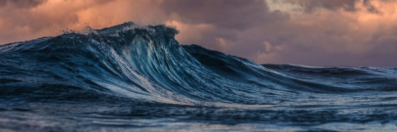 Crypto_and_I banner