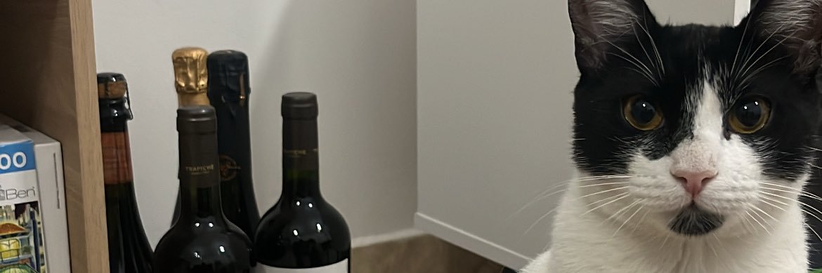 matexcocido's profile banner image