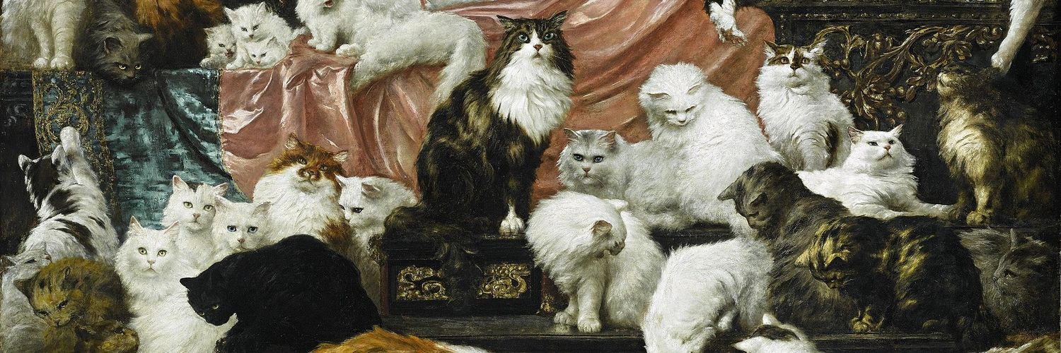 CCoffeeCat's profile banner image