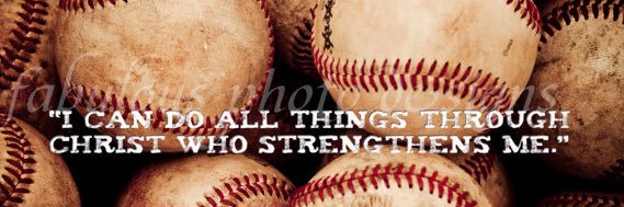 NewtonBaseball banner