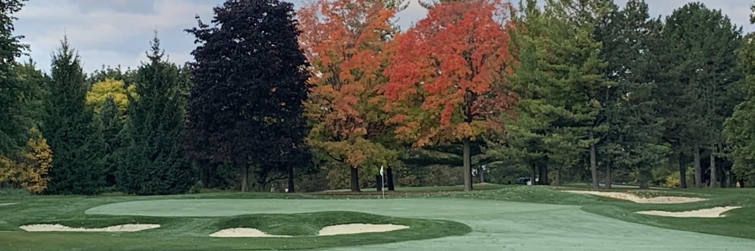 David Currie 🇨🇦⛳️🔧er banner