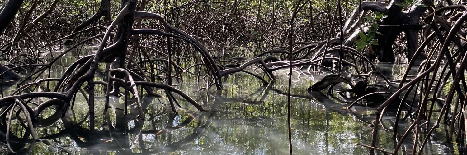 𝓂𝒸𝓁𝒶𝓇𝒶 🧙🏻‍♀️ banner