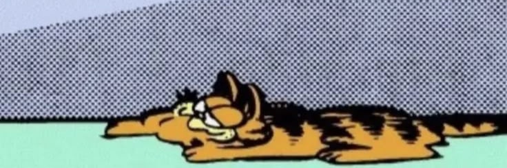 ine e garfield banner