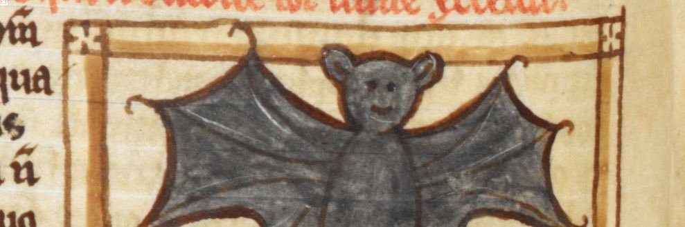 felicita foresta banner