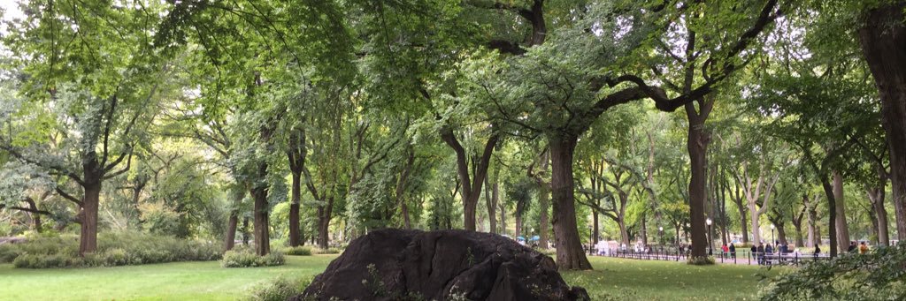 Kaster ®.ENJ banner