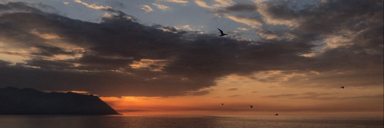 beytbeytu's profile banner image