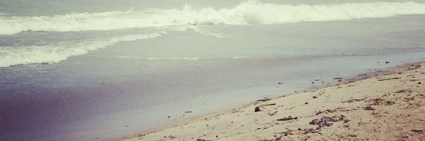 h_rose_v Profile Banner