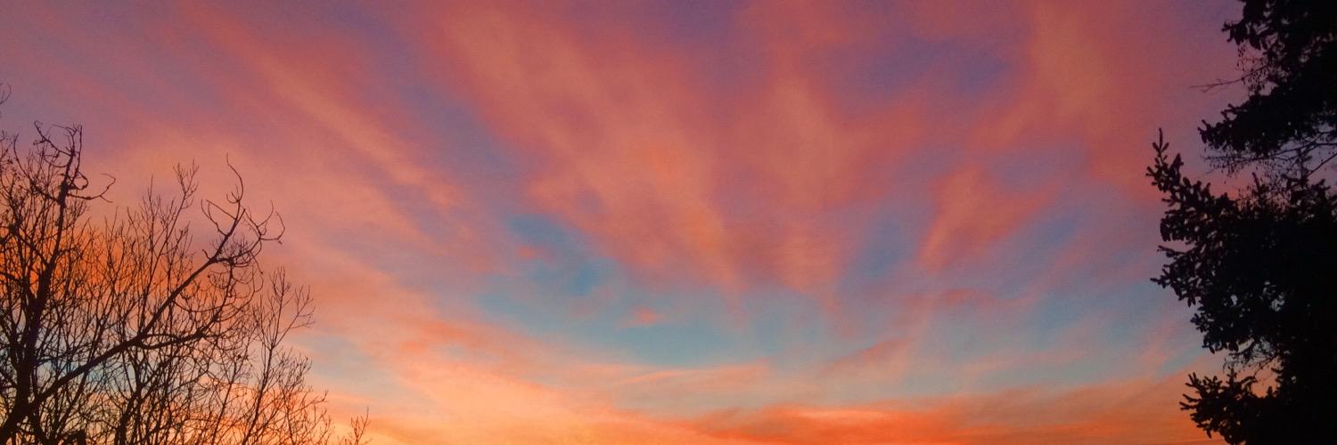 ursularoseee's profile banner image