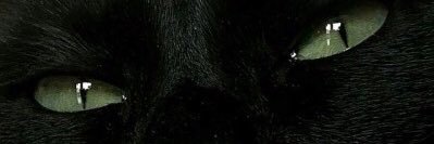 ffsabbibi's profile banner image