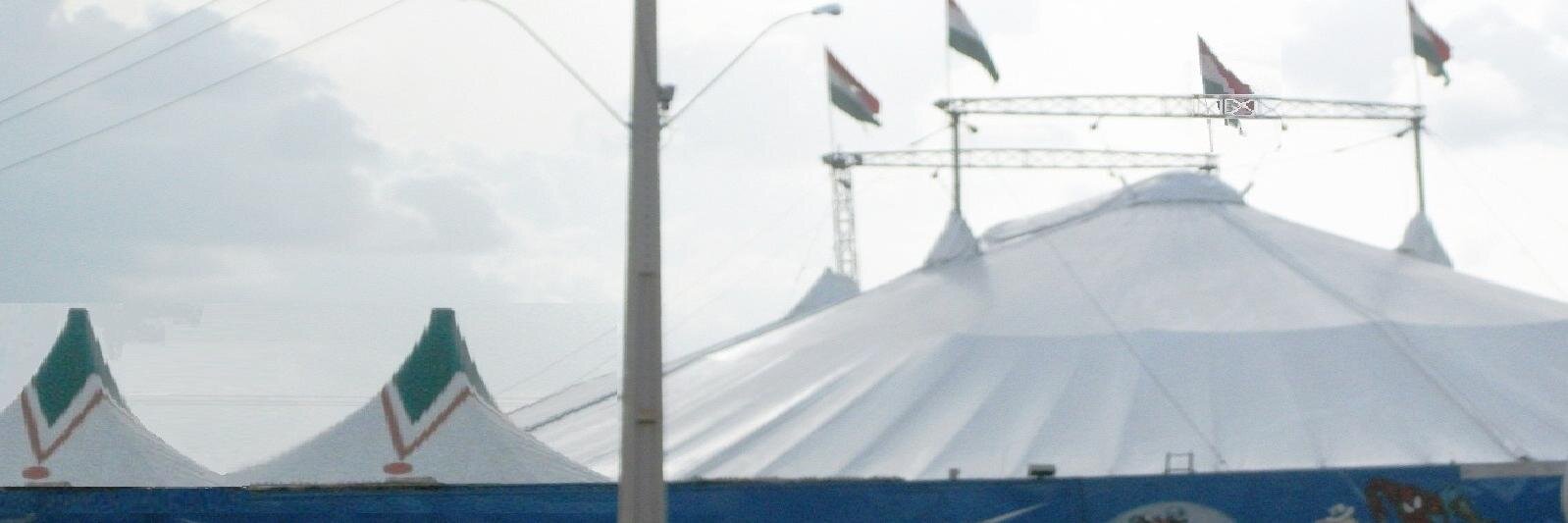 circoditalia's profile banner image