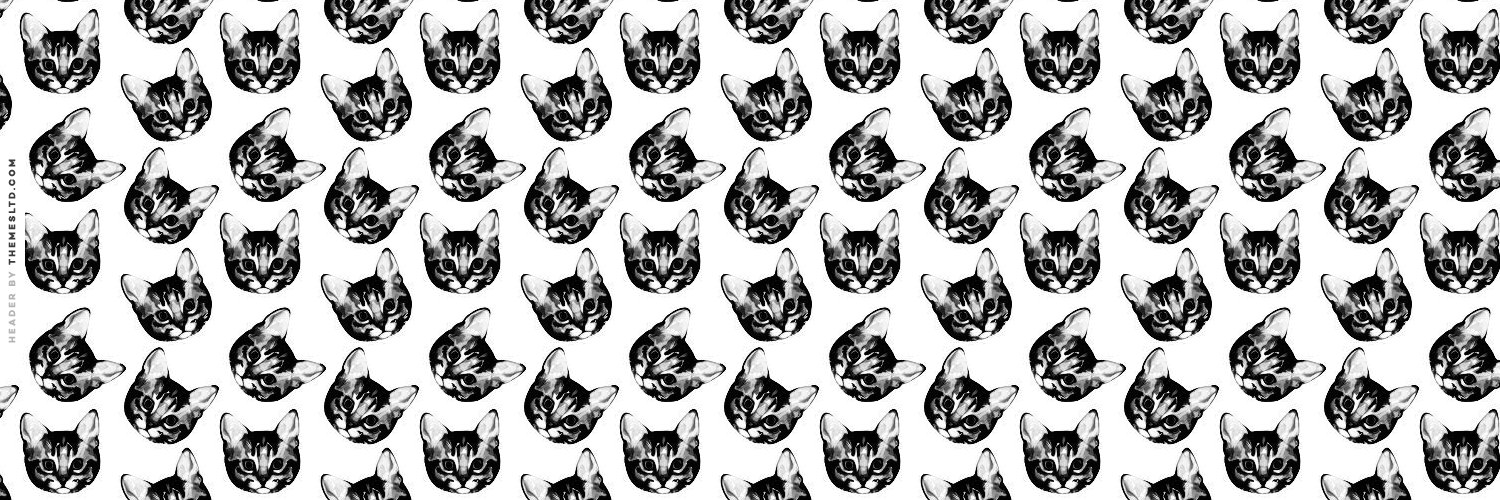 BookishBree_NT's profile banner image