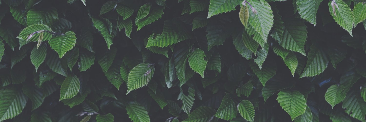 CaptainMane's profile banner image