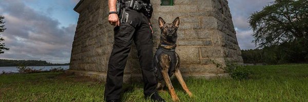 MassVestADog Profile Banner