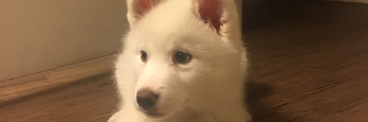 DatCalebJ's profile banner image