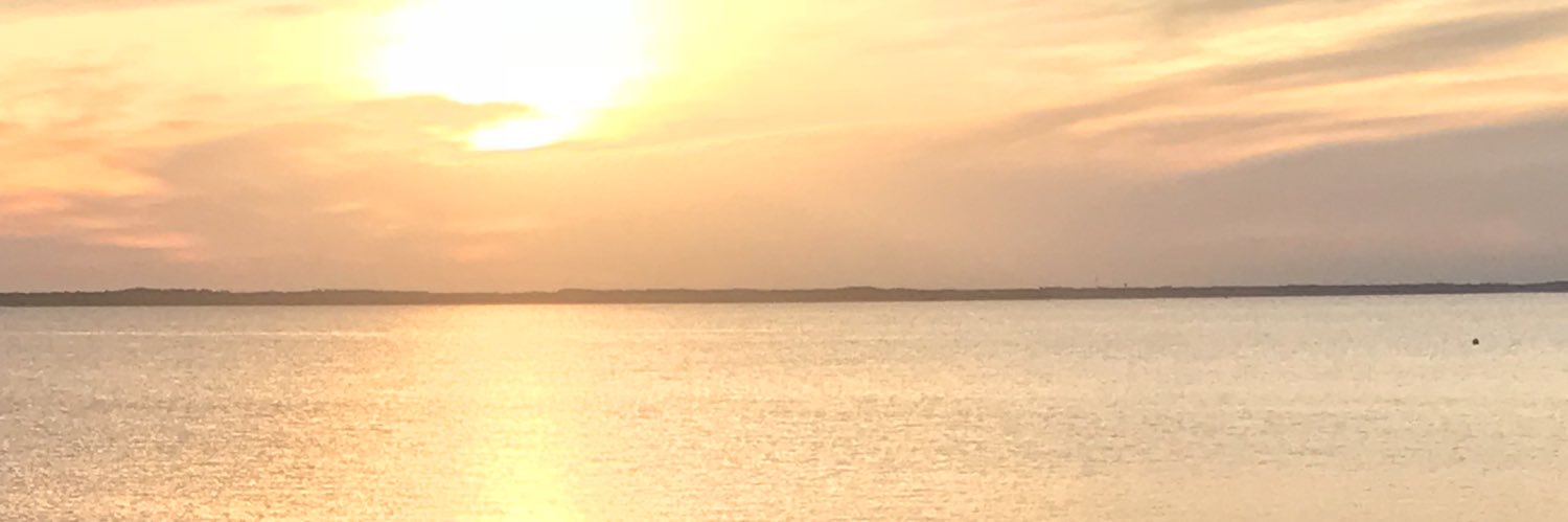 ShelbieHaag's profile banner image