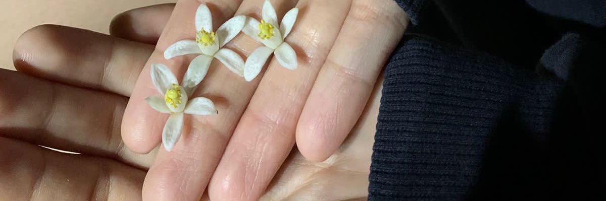 tinywasp_'s profile banner image