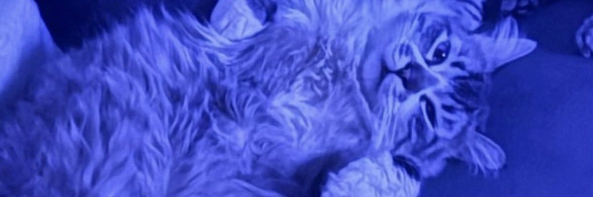 bяeno banner