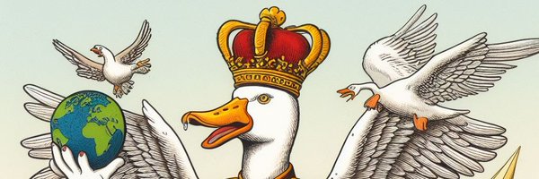 revoexpress Profile Banner