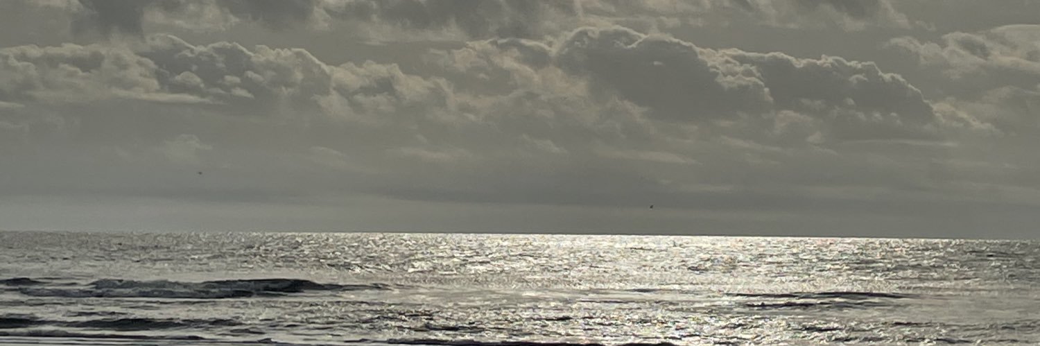 sheMeLadyV's profile banner image