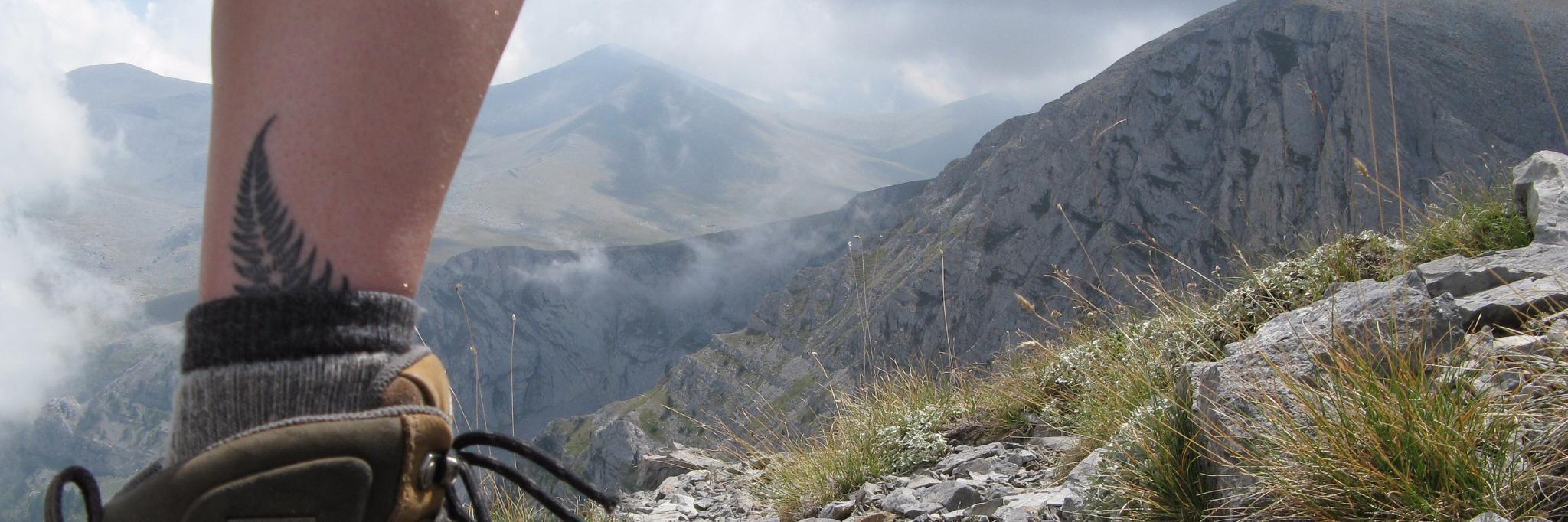 Christine Gerpheide 工理寿 she/her banner