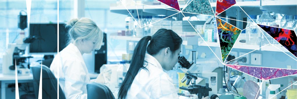Monash Biomedicine Discovery Institute banner