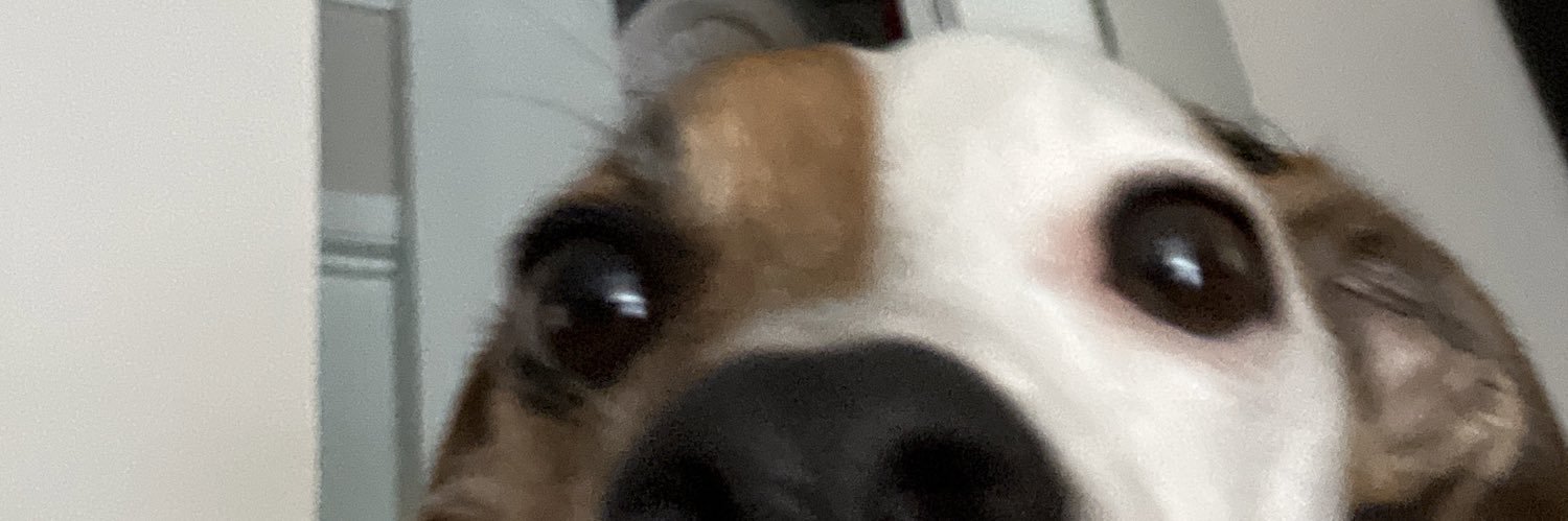 AChoacher's profile banner image