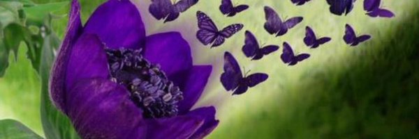 Abhidheya_dd Profile Banner