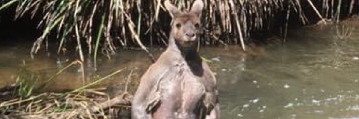 Jacked_Jeezus's profile banner image