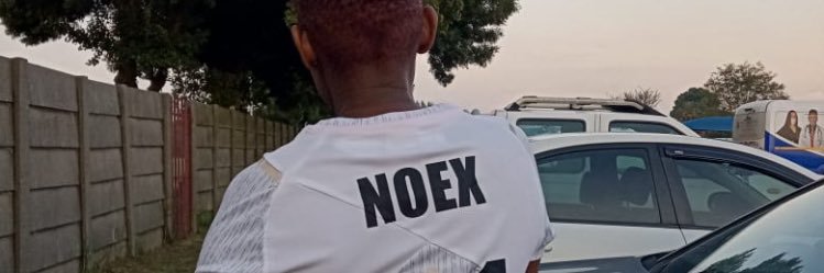 Noex banner