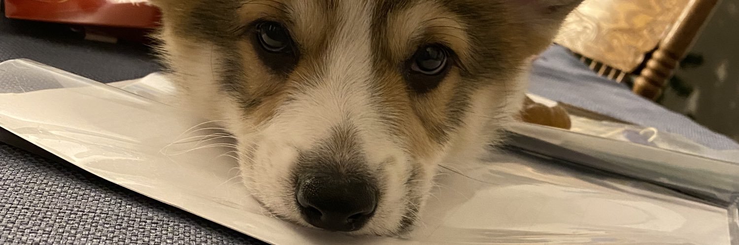 SarahARivera's profile banner image