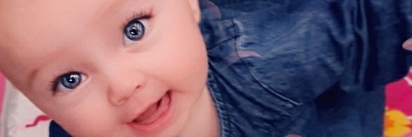 Bec banner
