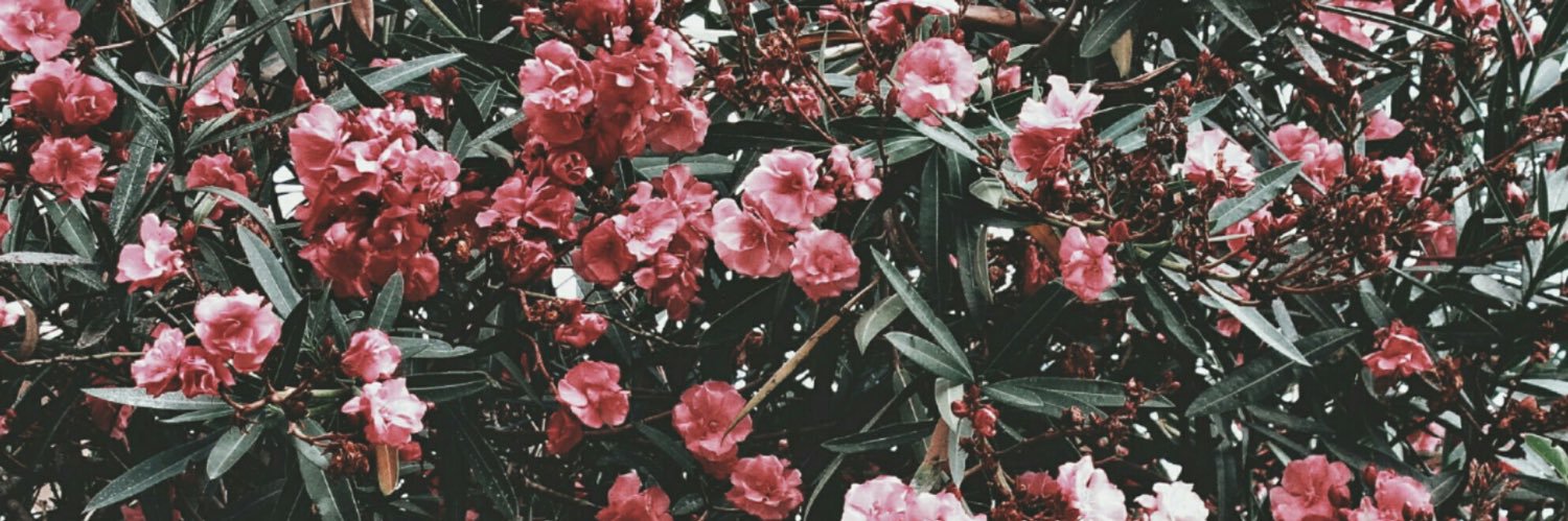 misyake_02's profile banner image