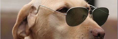FelipeShammah's profile banner image