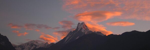 ConnorsLaura Profile Banner