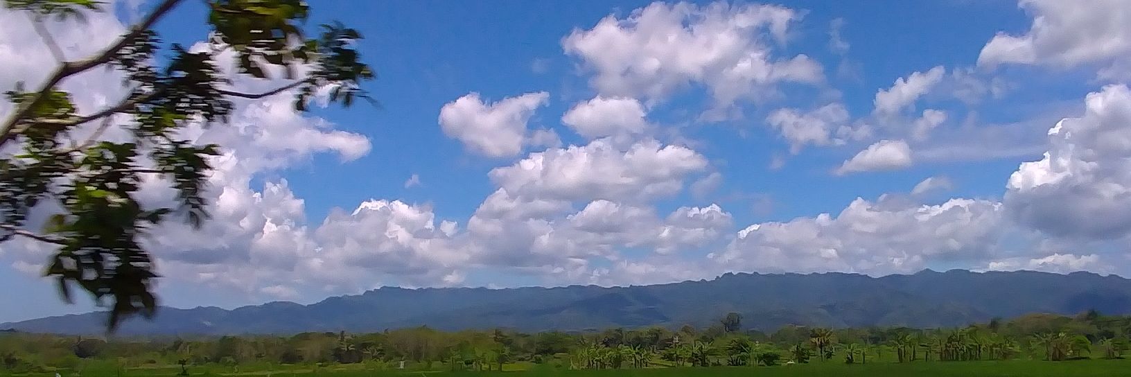 wientato's profile banner image