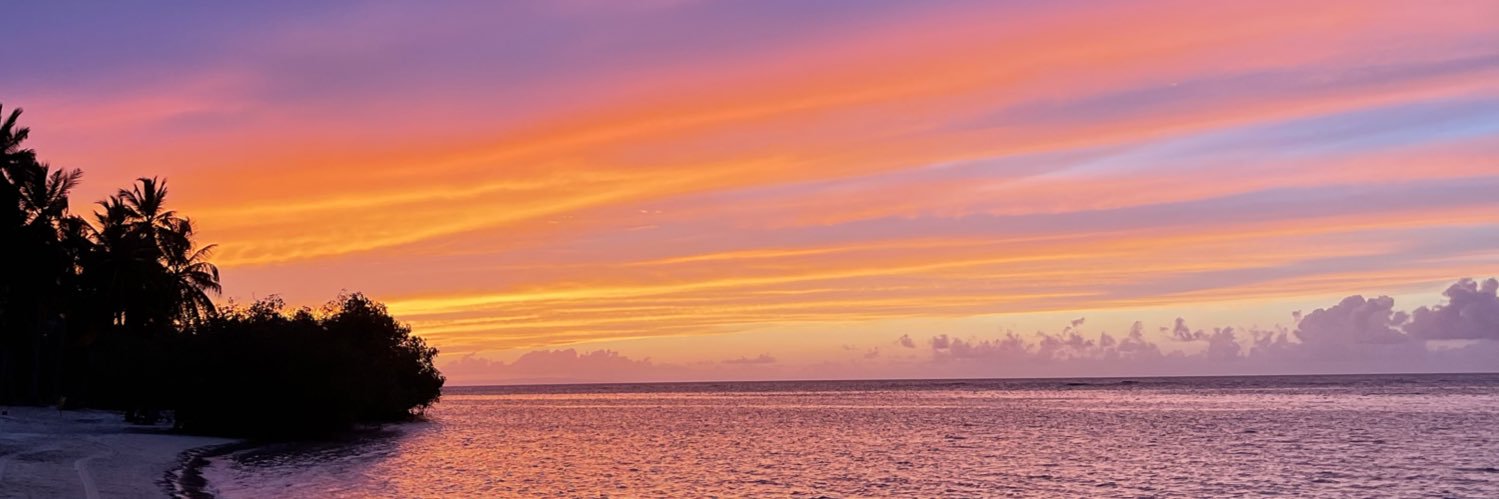camicaraballok's profile banner image