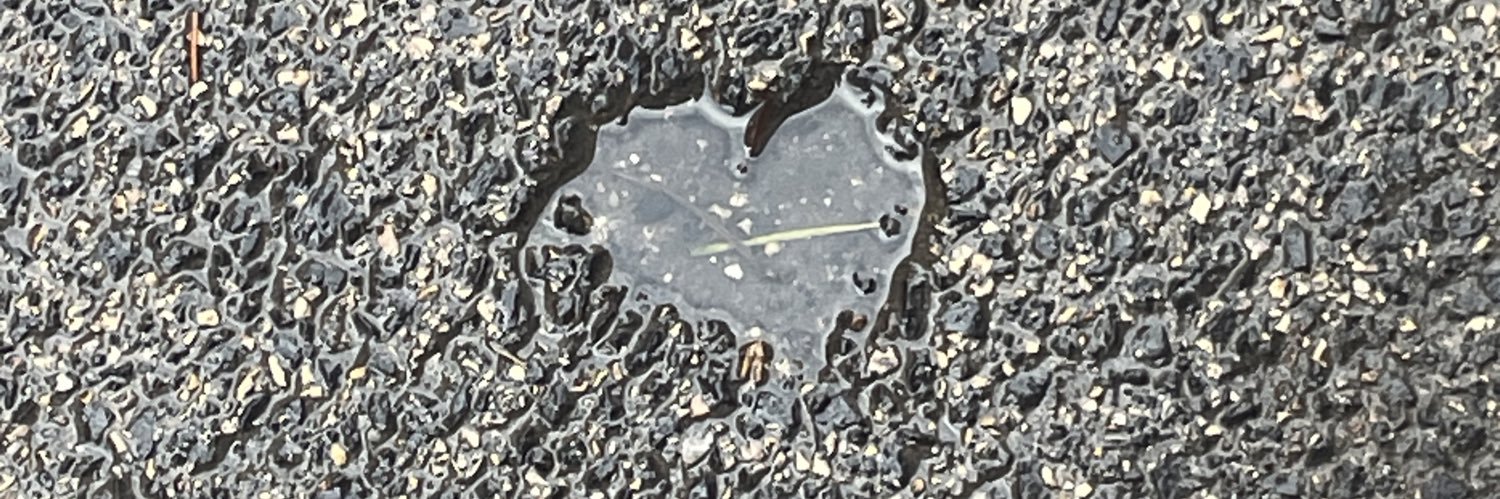 BARBARAska's profile banner image