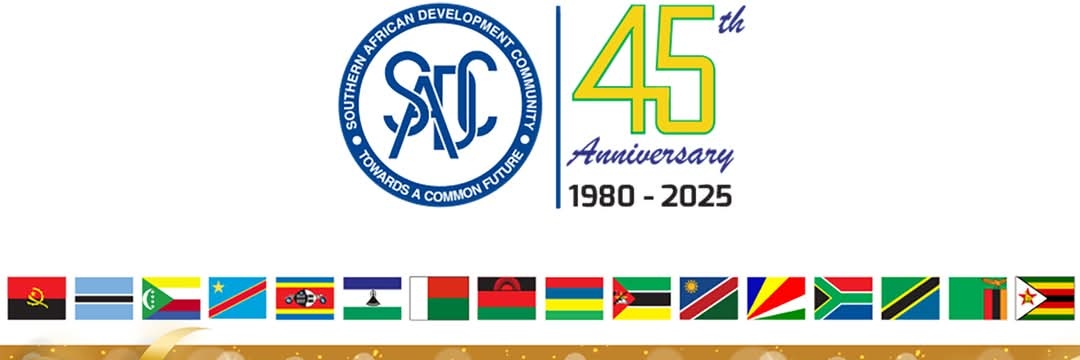 Jevin Pillay Ponisamy banner