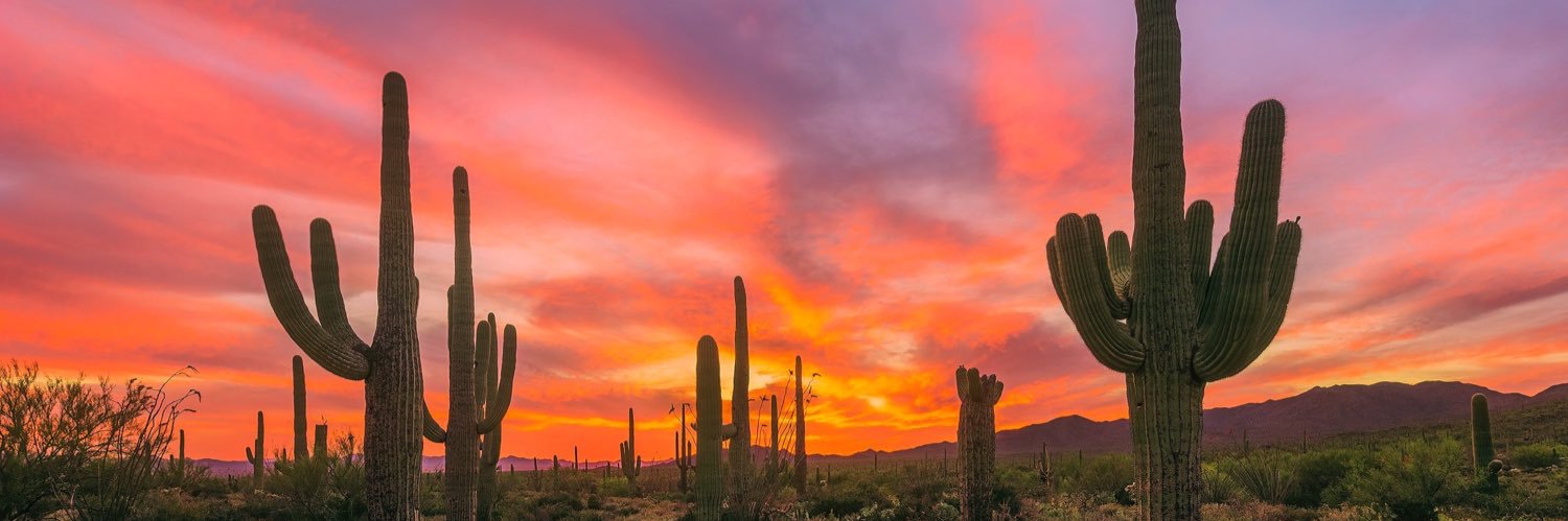 BoodlesAZ's profile banner image