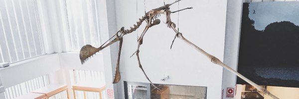 MuseuHN Profile Banner