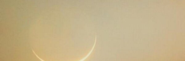 gn9090 Profile Banner