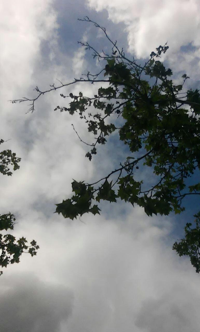 LauraValverdeM8's profile banner image