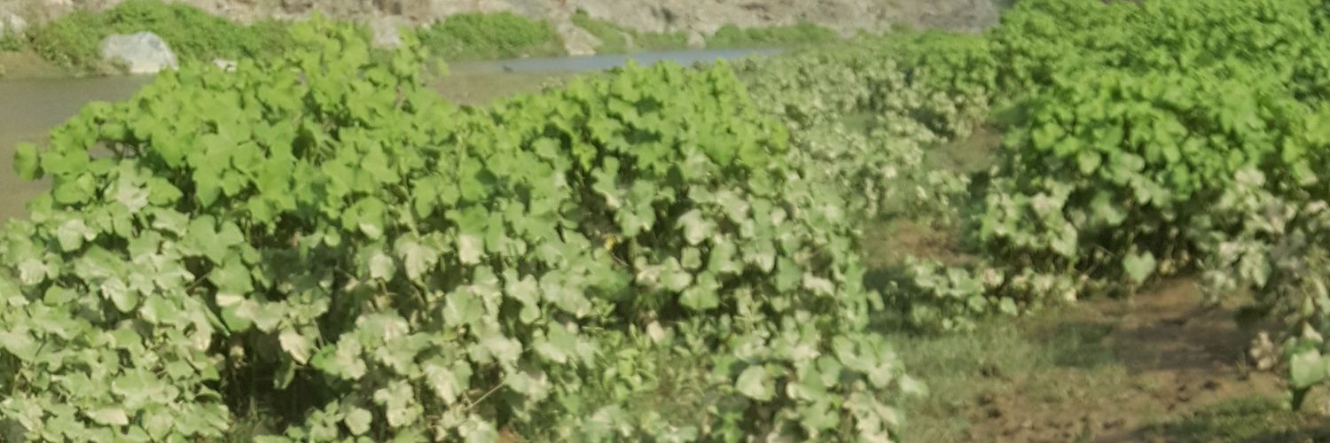 Jack43586155's profile banner image