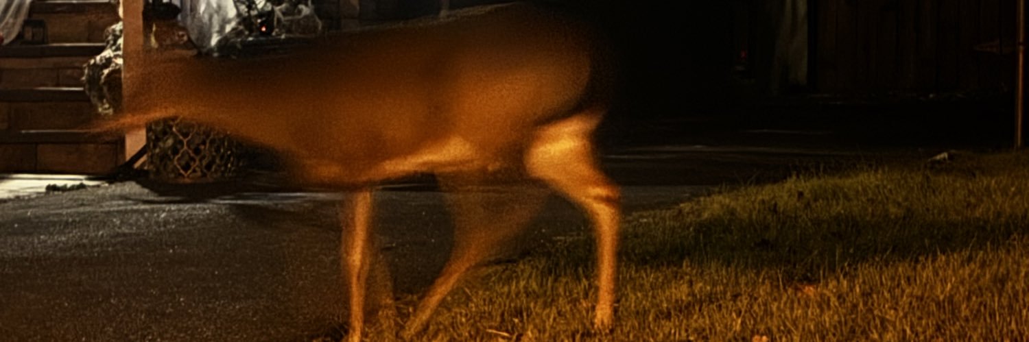 Pryncecris's profile banner image