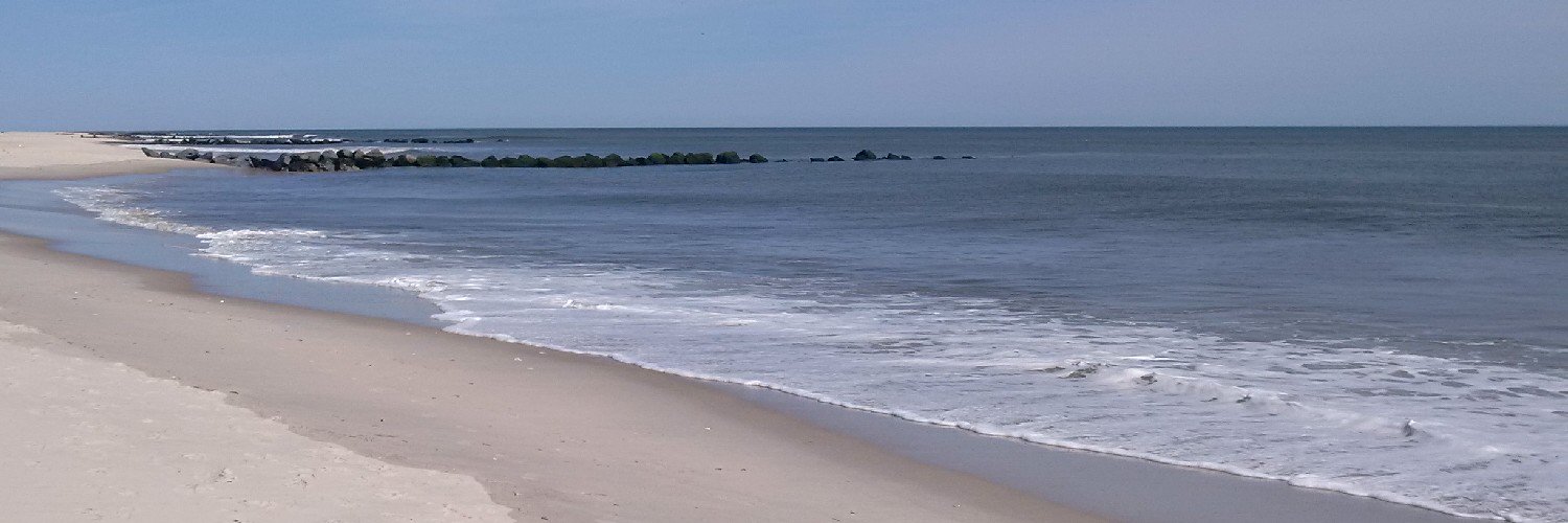 Carroll Kruger banner