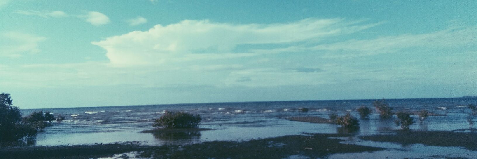 Patrickstarkkk's profile banner image